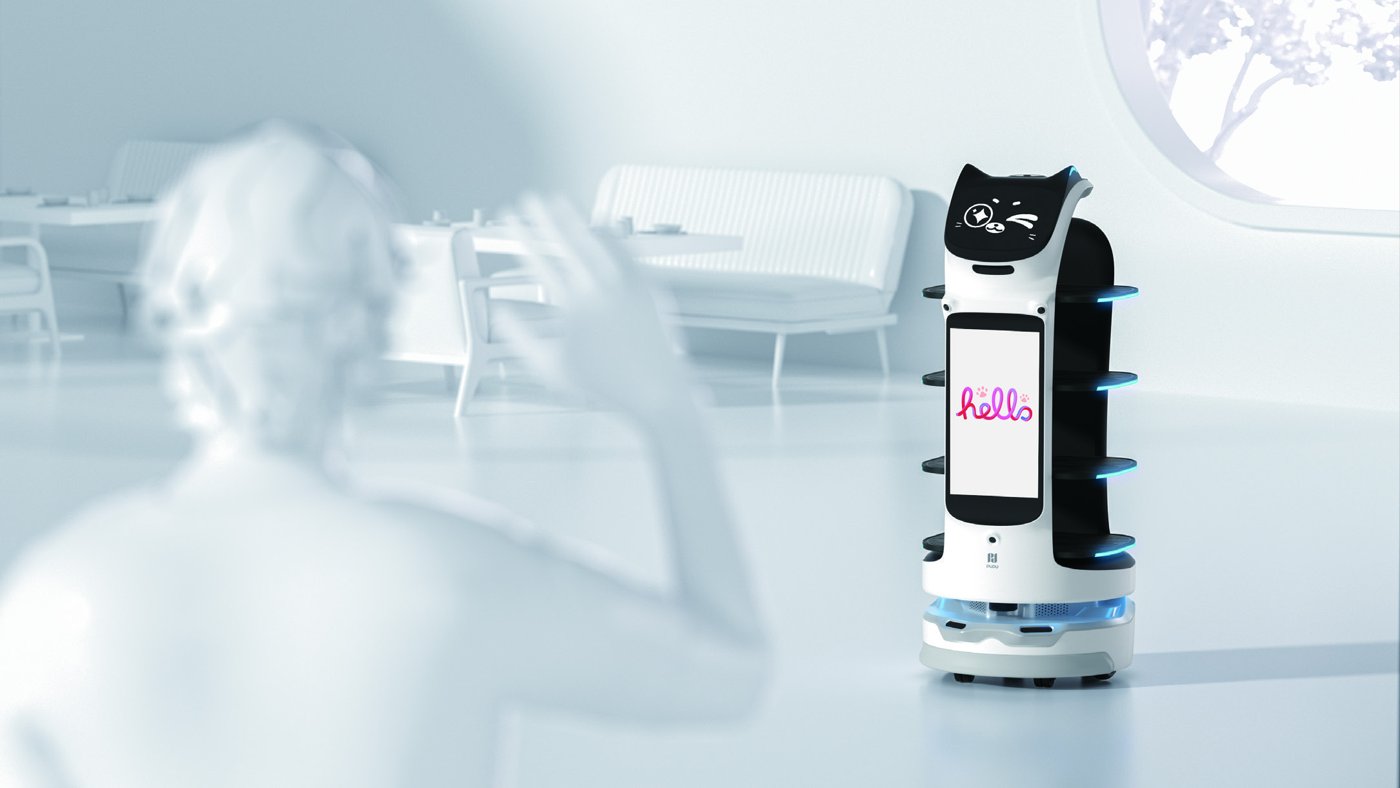Continuar · BellaBot Pro